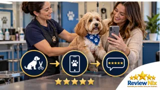 Google Reviews for Pet Groomers