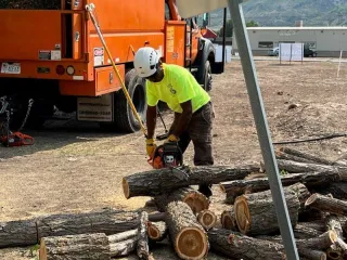 Tree Removal Estimate in Ogden, UT | Call Today