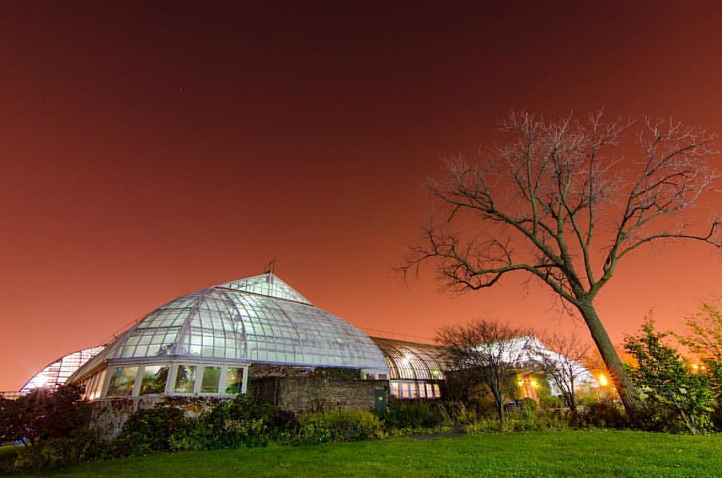 🌿 Garfield Park Conservatory & Sunken Garden: A Colorful Indianapolis Getaway with Prime Edge Car Rentals