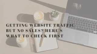 Getting Website Traffic but No Sales? Here's What to Check First