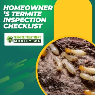 Termite Inspection Checklist for Every Homeowner