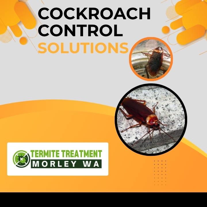 Cockroach Control: Fast and Effective Solutions for Every Property