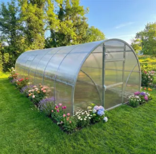 Why We Grow Inside the Greenhouse as Much as We Can
