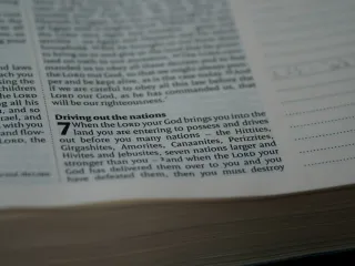 Voluntary Restitution