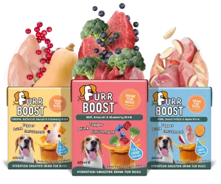 Why Dog Professionals Endorse Furr Boost: The Expert Seal of Approval