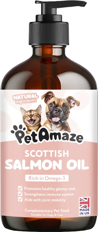 A Simple Daily Supplement Trainers Are Confident Recommending