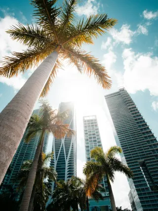Por qué Florida sigue siendo el destino preferido del capital inversor: plusvalía, renta y nueva construcciónNew Blog Post