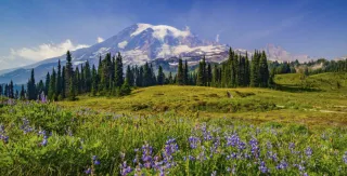 Investing in Western Washington with Elijah