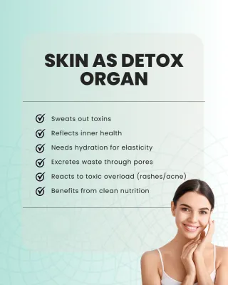 Understanding Skin as a Detox Organ