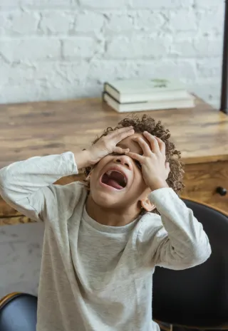 Stress Response vs Defiance: What Behaviour Means