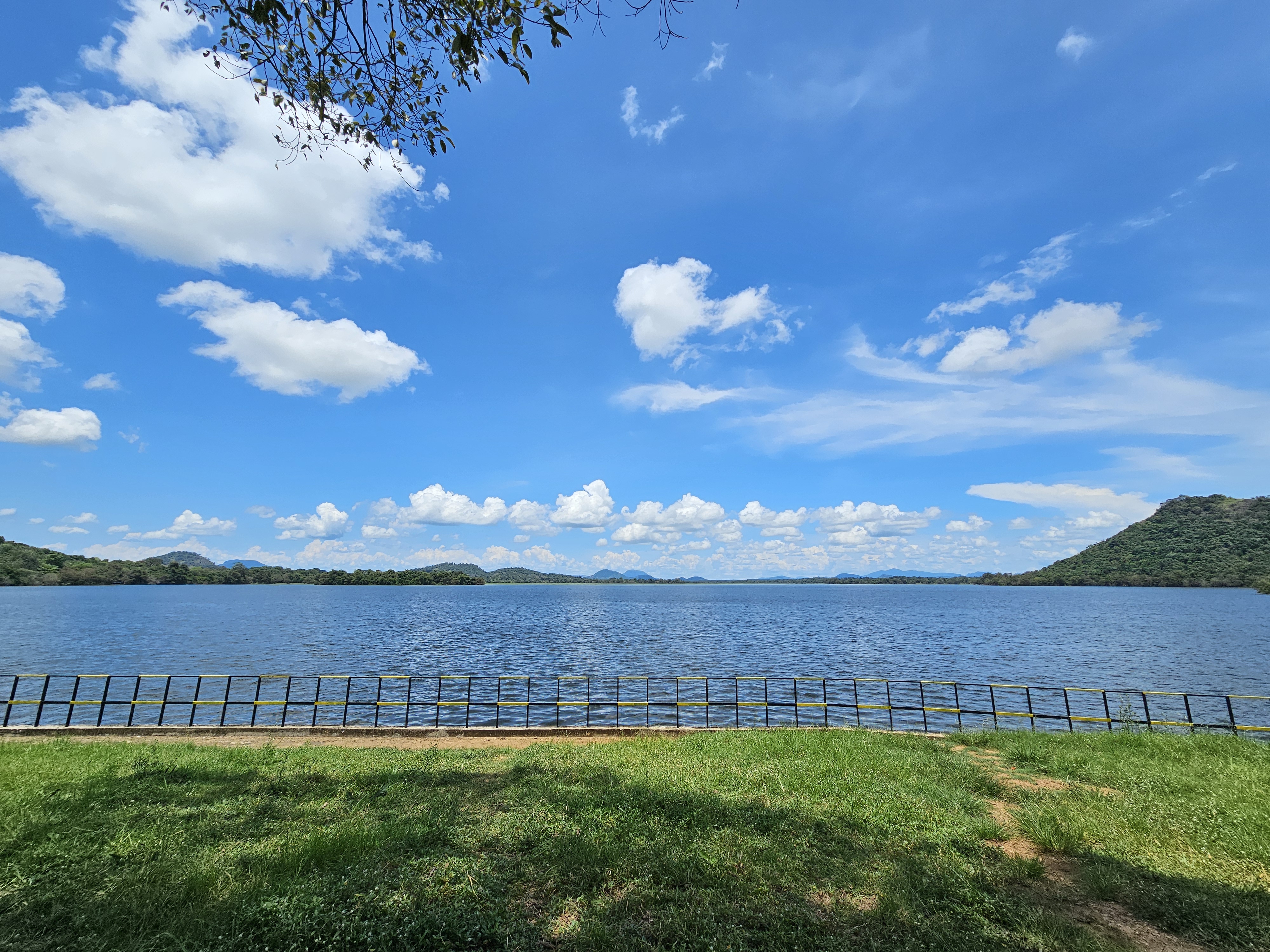 The Giant’s Vision...!