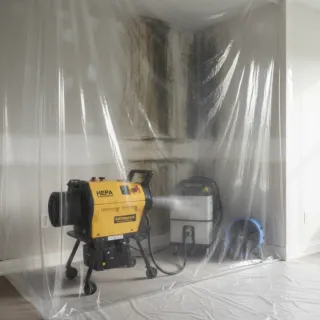 Mold Remediation: Remove Mold & Protect Your Home Fast