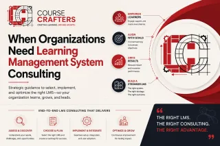 When Organizations Need Learning Management System Consulting
