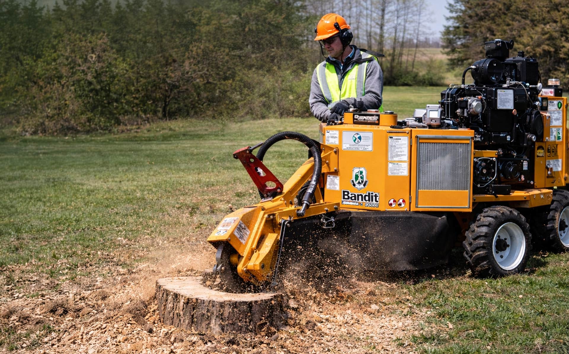 How Much Does Stump Grinding Cost in Cooper City, FL?