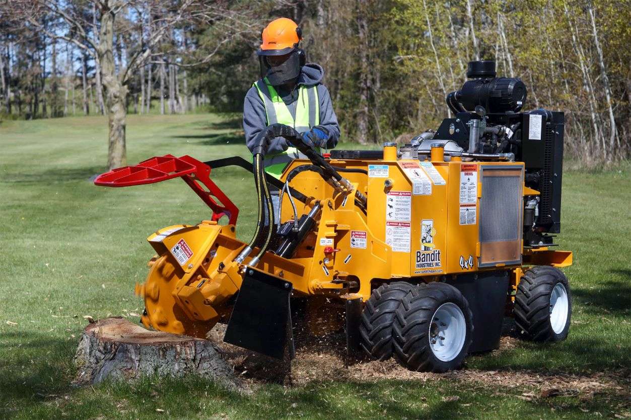 What Affects Stump Grinding Cost on Commercial Sites?