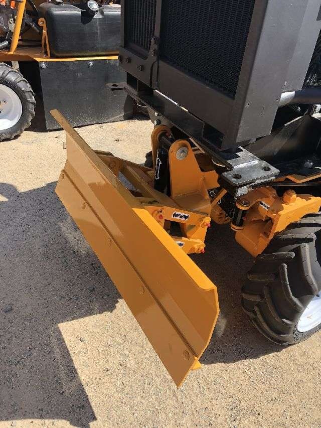 What Should Homeowners Expect After Stump Grinding?