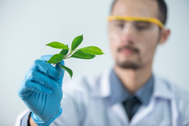 Increasing pre-audit readiness through training