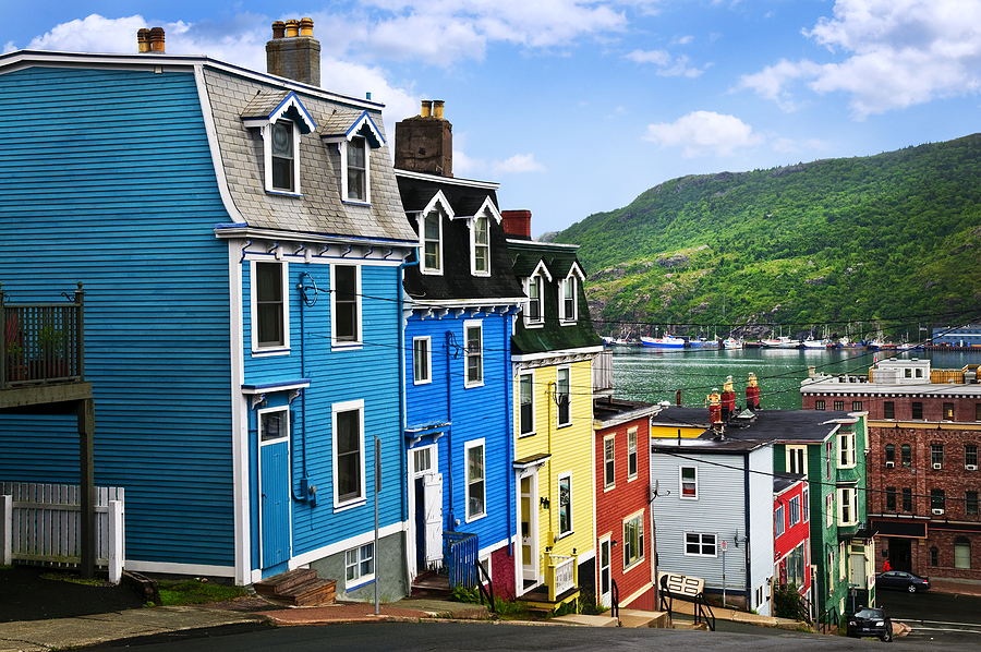 Newfoundland, You Absolute Legend!