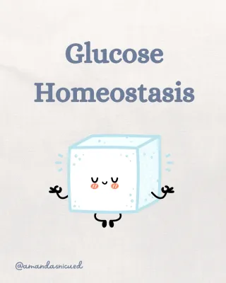 Glucose Homeostasis