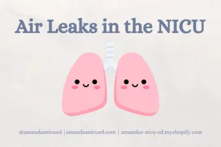 Air Leaks in the NICU