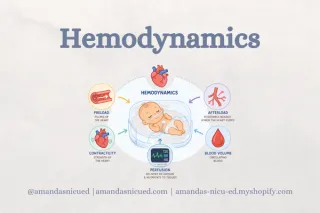 Hemodynamics Concepts Every NICU Nurse Should Understand