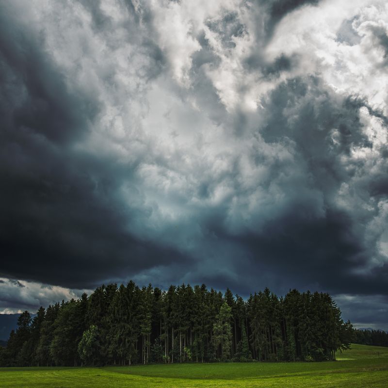 Upset Weather Patterns