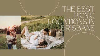 The Best Picnic Locations in Brisbane for a Beautiful Boho Picnic Experience