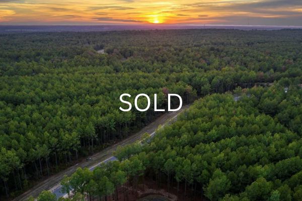 SOLD - Master Planned Acre Lot on Cul-de-Sac, Utilities In, 46%+ Equity HOLLOW HILL DR, NEW WAVERLY, TX