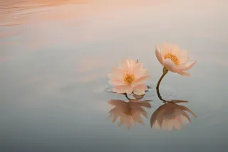 How to Realistically Ease Anxiety