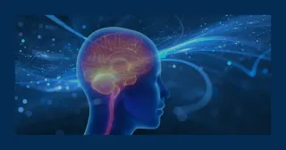 Empowering Brain Health: The Role of Lifestyle, Diagnostics, and Therapeutics