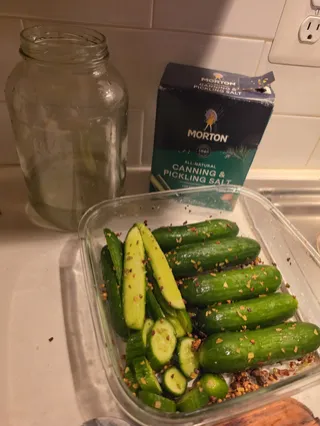 Easy Refrigerator Dill Pickles 🥒