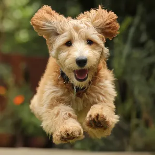 Post 1,287: Lessons from Fritz