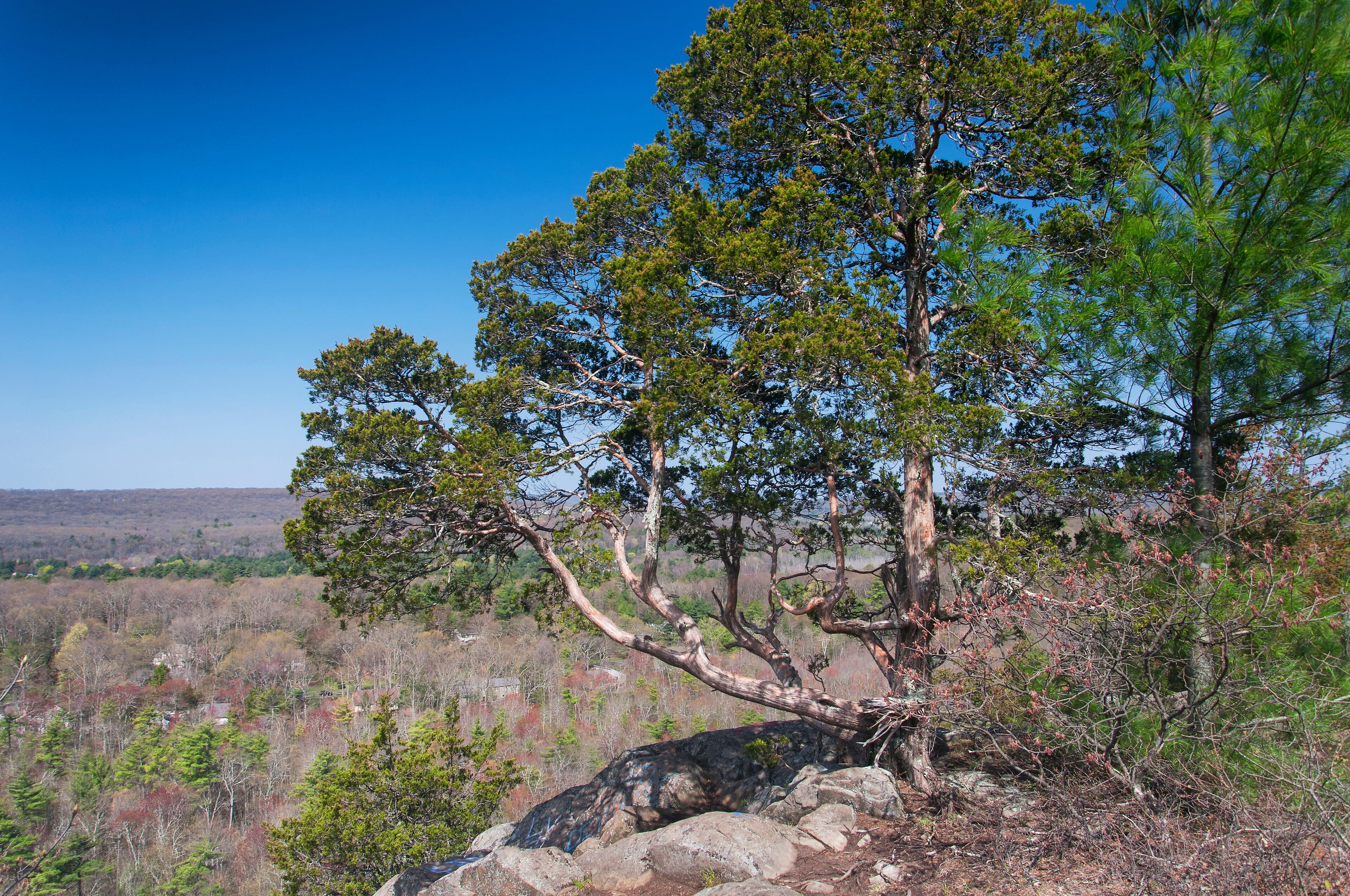 Top Scenic Drives Near Avon, Connecticut — Hartford VIP Car Rental, Avon, Connecticut