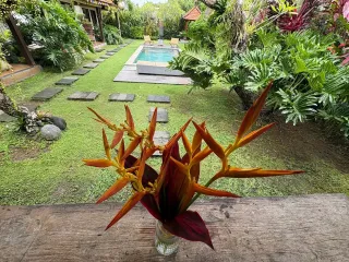 Pruning Your Mind’s Garden