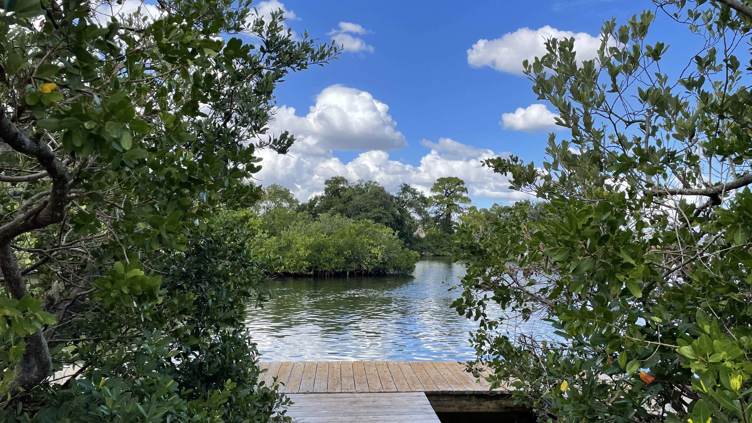 Exploring Tampa Bay Area Parks and Nature Reserves from St. Petersburg – MPC Car Rentals, St. Petersburg, FL