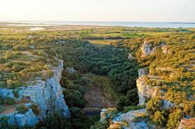 Marché immobilier à Mireval en 2026 : Prix, tendances et perspectives