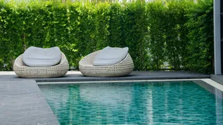 Calcium Nodules In Your Pool: Why They Form And Spread