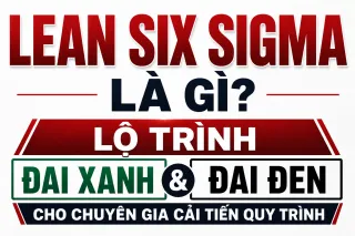 Lean Six Sigma Là Gì? Lộ Trình Đai Xanh Và Đai Đen Cho Chuyên Gia Cải Tiến Quy Trình