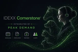Voice AI Integration with IDEXX Cornerstone for Scheduling, Client Intake, and Veterinary Practice Communication Workflows