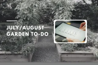 July and August Gardening To-Do List for PNW