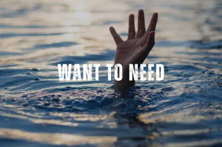 Want To Need