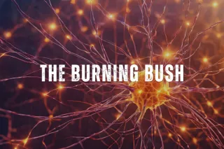 The Burning Bush