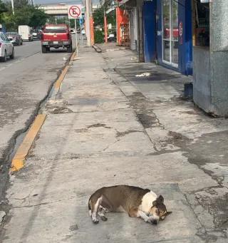 The Most Dangerous Mexican Thing