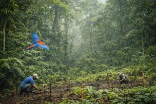 The Great Shift: Why Global Consciousness Is Turning Green