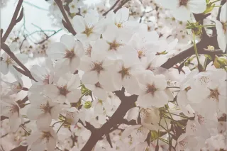 Artist Takeover Mix: Abstract Audio Systems