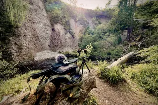 Field Recordings From Around the World