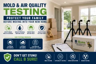Mold & Air Quality Testing: Protect Your Family Before Moving Into Your New Home