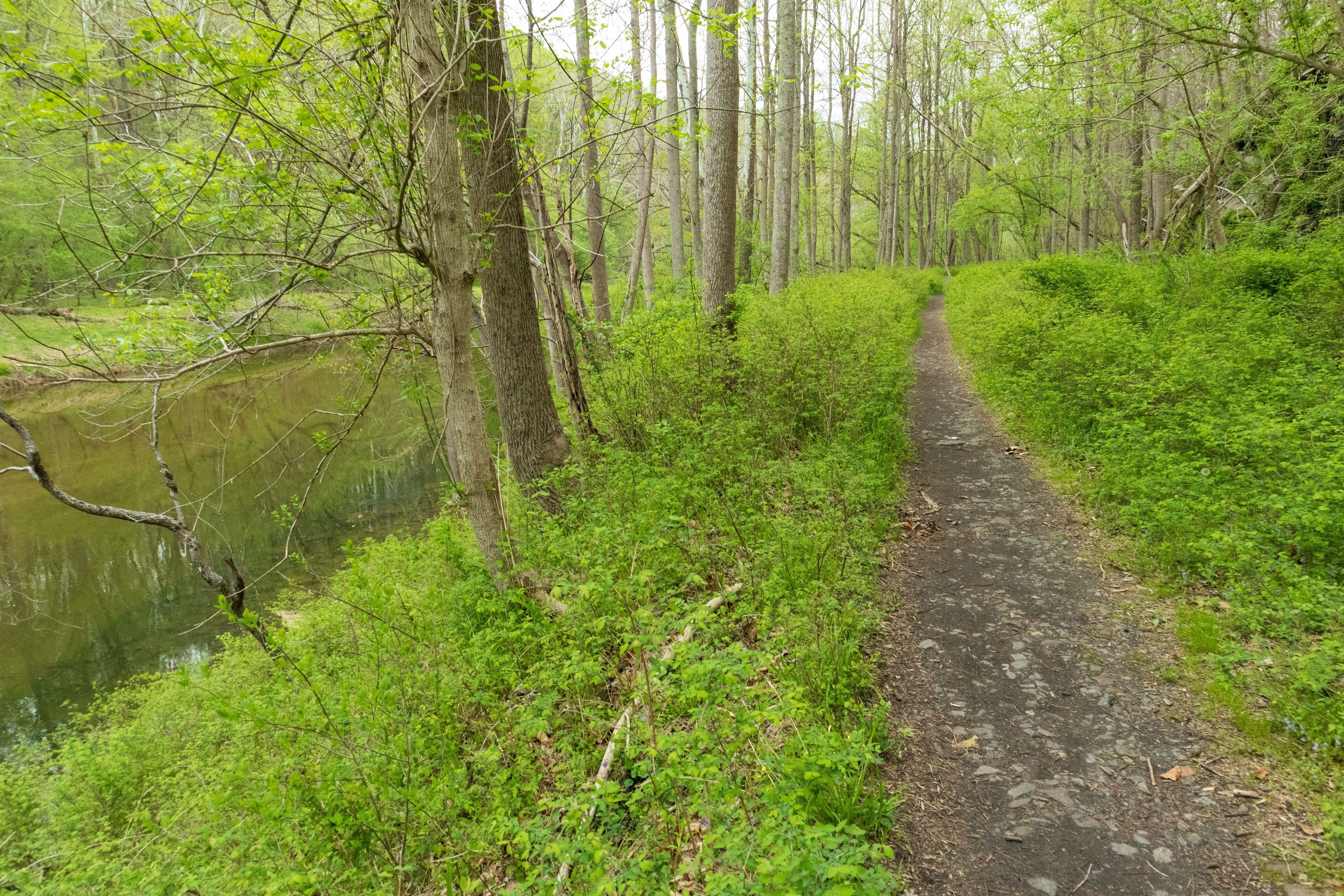 Hidden Gems Near Elkridge, MD You Can Only Explore by Car | Black Label Rentals, Elkridge, MD