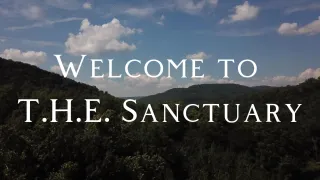 An Invitation Into The Holistic Evolution