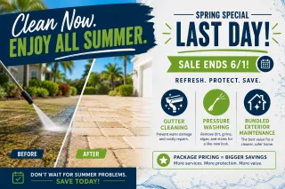 Why Spring Is the Best Time to Pressure Wash Your Home